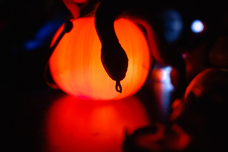 Украшение дома паутиной и летучими мышами к Хэллоуину в Belgorod